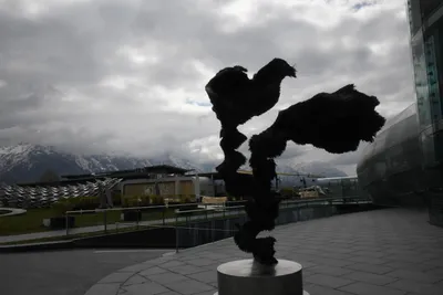 DSC_7104 (Large).JPG